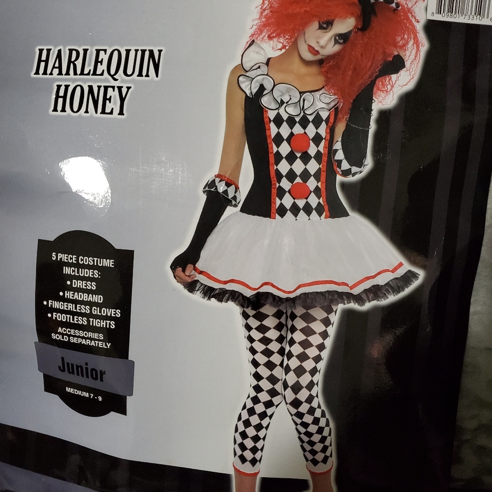 Harlequin Honey Costume
